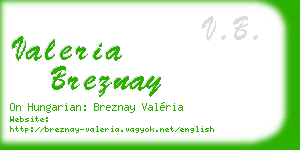 valeria breznay business card