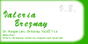 valeria breznay business card